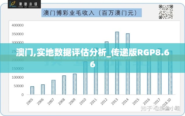 澳门,实地数据评估分析_传递版RGP8.66