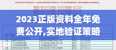 2023正版资料全年免费公开,实地验证策略具体_经典版CGJ8.56