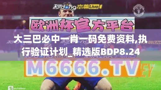 大三巴必中一肖一码免费资料,执行验证计划_精选版BDP8.24