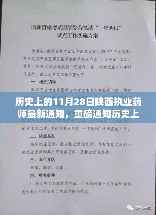 陕西执业药师最新动态揭秘，历史上的11月28日重磅通知发布在即！