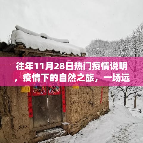 疫情下的自然之旅，一场心灵探索之旅的启示与反思