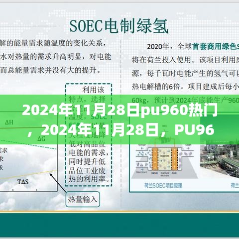 PU960热门趋势深度解析与个人观点，2024年11月28日的观察与思考