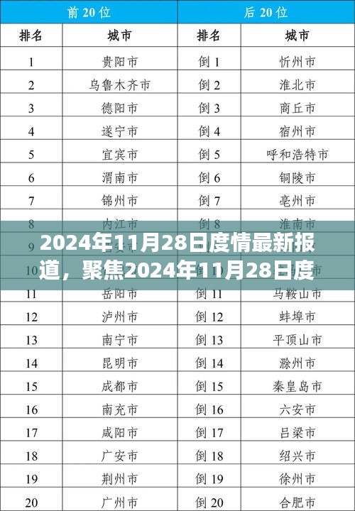 独家解析，2024年11月28日度情最新报道的综合观点与个人立场