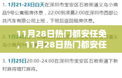 11月28日热门都安任免步骤指南，适合初学者与进阶用户