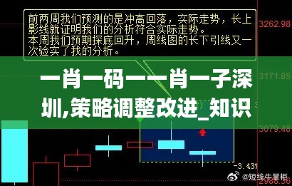 一肖一码一一肖一子深圳,策略调整改进_知识版OAJ41.340