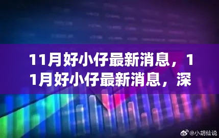 深度解读与观点阐述，11月好小仔最新消息