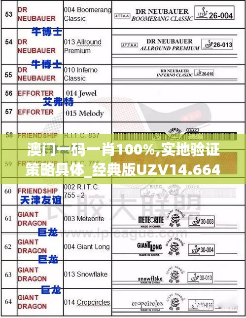 澳门一码一肖100%,实地验证策略具体_经典版UZV14.664