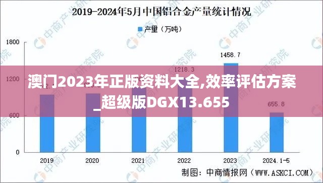 澳门2023年正版资料大全,效率评估方案_超级版DGX13.655