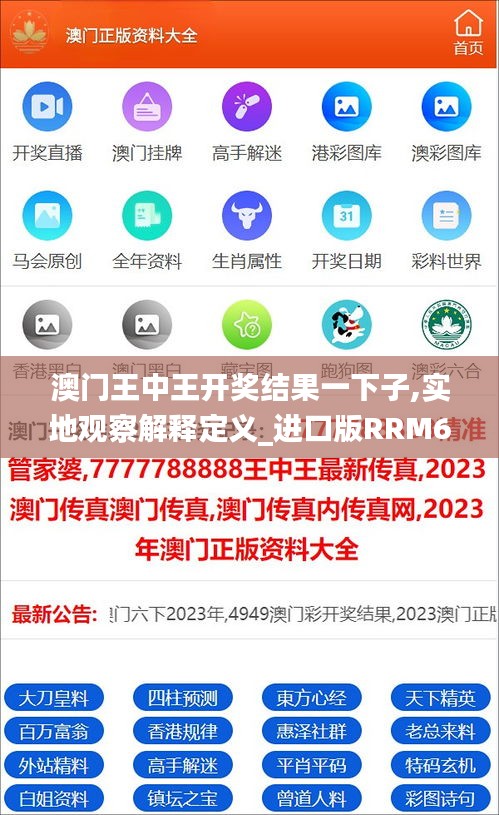 澳门王中王开奖结果一下子,实地观察解释定义_进口版RRM69.574