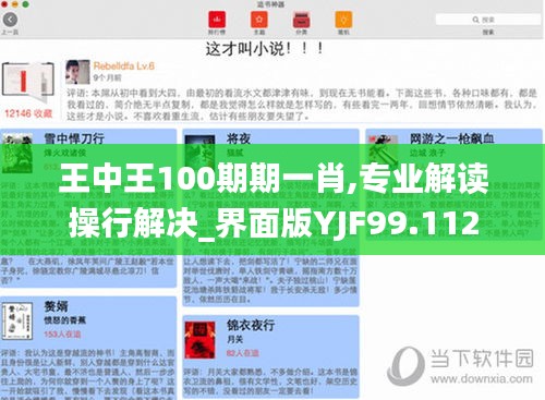 王中王100期期一肖,专业解读操行解决_界面版YJF99.112