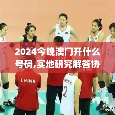 2024今晚澳门开什么号码,实地研究解答协助_知晓版ICZ42.120