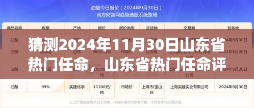 山东省热门任命展望与深度分析，揭秘2024年11月30日的预测与评测报告