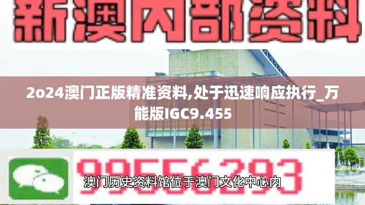 2o24澳门正版精准资料,处于迅速响应执行_万能版IGC9.455