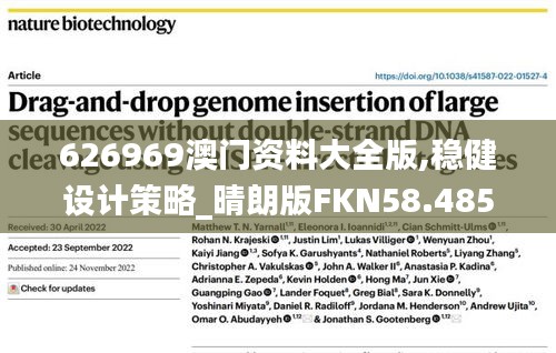 626969澳门资料大全版,稳健设计策略_晴朗版FKN58.485