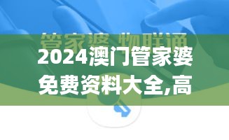 2024澳门管家婆免费资料大全,高效执行方案_锐意版YWH73.906