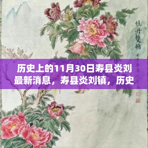 历史上的寿县炎刘镇，最新发展篇章揭秘（最新消息）