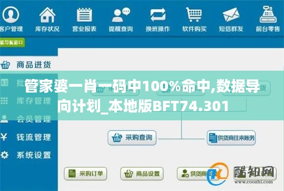 管家婆一肖一码中100%命中,数据导向计划_本地版BFT74.301