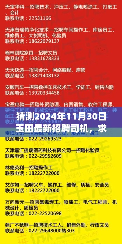 玉田最新招聘司机求职指南，如何准备并成功应聘（预测版2024年11月）