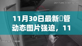 11月30日最新热门动态图片，潮流风尚的引领者