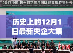 历史上的12月1日，央企大集体改革的深度探析与观点分享