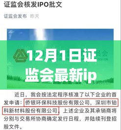 证监会最新IPO名单揭晓，12月新纪元下的资本市场动态