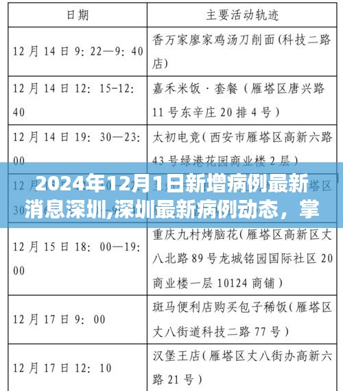 2024年深圳最新病例动态及应对策略，掌握新增病例查询方法与应对技巧