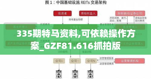 335期特马资料,可依赖操作方案_GZF81.616抓拍版