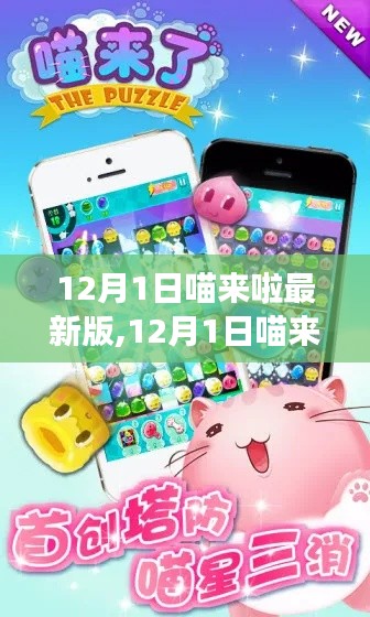 12月1日喵来啦全新版本发布，特色功能与体验一网打尽