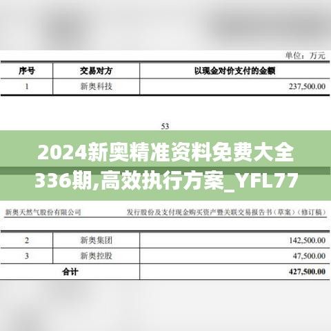 2024新奥精准资料免费大全336期,高效执行方案_YFL77.297竞技版