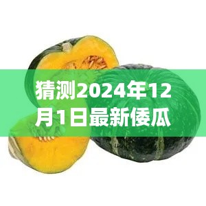 瓜价风云，温馨预测倭瓜价格之旅，2024年12月1日的瓜市展望