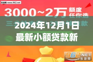 初学者与进阶用户必备，2024年小额贷款新口子详解及申请流程指南