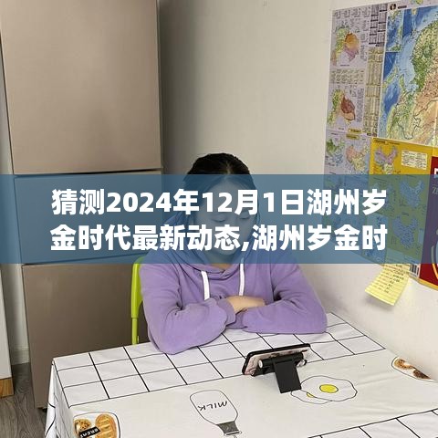 湖州岁金时代最新动态解析，特性、用户体验与目标用户群体分析展望至2024年12月1日深度评测报告