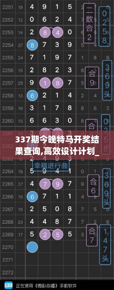 337期今晚特马开奖结果查询,高效设计计划_挑战版2.890-1