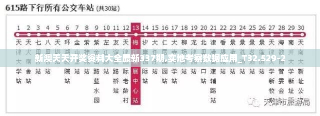 新澳天天开奖资料大全最新337期,实地考察数据应用_T32.529-2