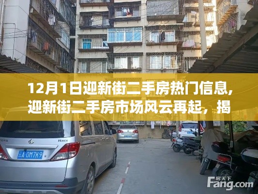 揭秘迎新街二手房市场风云再起，十二月一日热门信息深度解析