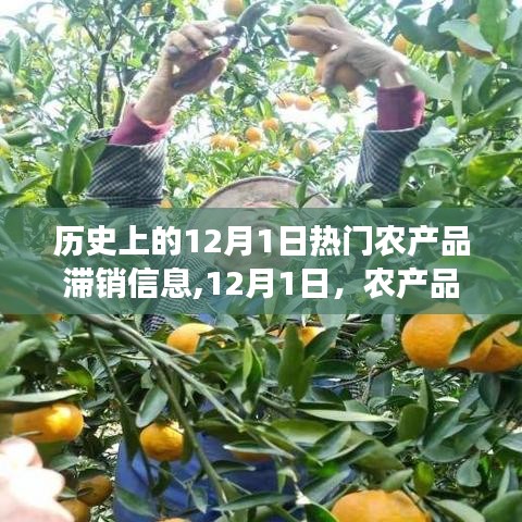 探寻农产品滞销背后的美景之旅，追寻内心的宁静与平和在12月1日的历史时刻