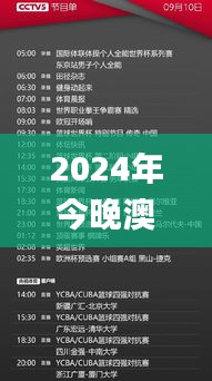 2024年今晚澳门337期开特马,实效设计计划_XT3.211-5