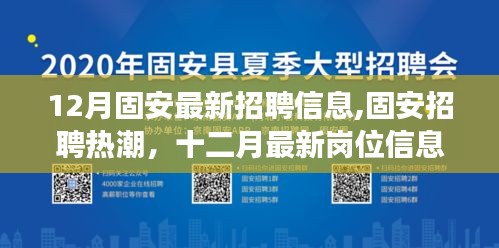 固安最新招聘热潮，十二月岗位信息解析与洞察