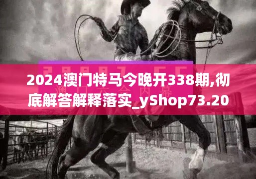 2024澳门特马今晚开338期,彻底解答解释落实_yShop73.206-3