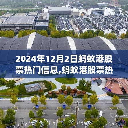 2024年12月2日蚂蚁港股票热门信息解析