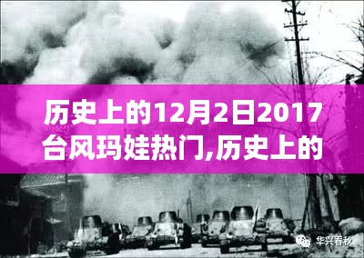 台风玛娃，历史上的独特影响与启示，十二月二日的奇迹时刻