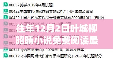 往年12月2日叶城柳昭晴小说免费阅读，最新章节与精彩内容一网打尽