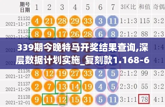 339期今晚特马开奖结果查询,深层数据计划实施_复刻款1.168-6