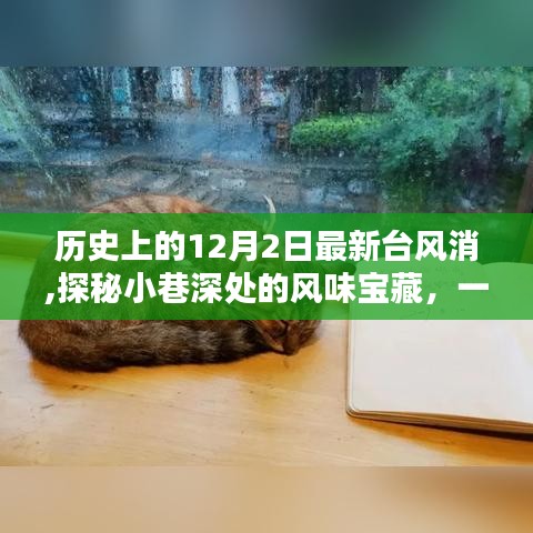 探秘历史台风背后的独特小巷美食宝藏，一家隐藏在小巷深处的风味小店