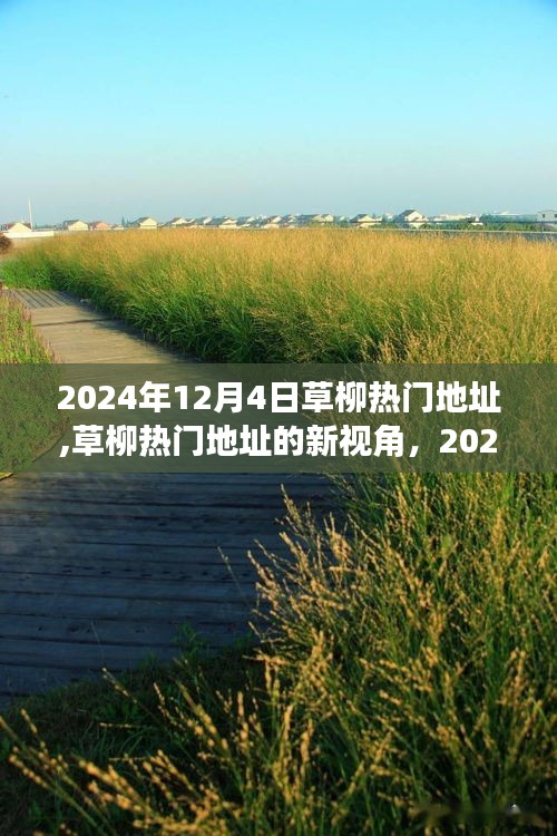 草柳热门地址，独特魅力与争议下的新视角——2024年12月4日