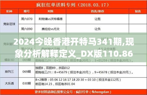 2024今晚香港开特马341期,现象分析解释定义_DX版110.863