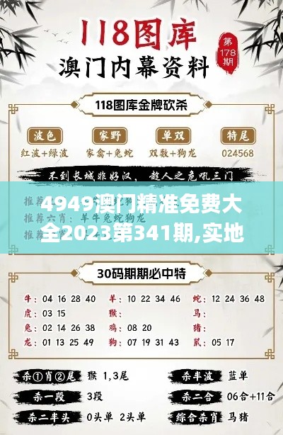 4949澳门精准免费大全2023第341期,实地执行考察方案_安卓款8.997