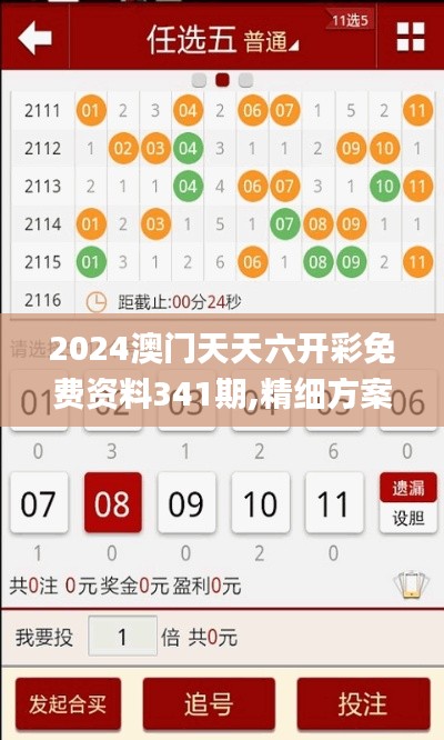 2024澳门天天六开彩免费资料341期,精细方案实施_BT1.429