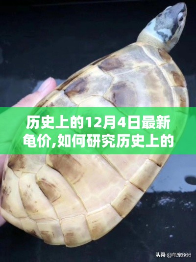 详细步骤指南，研究历史上的龟价动态与最新龟价趋势分析——以12月4日为例