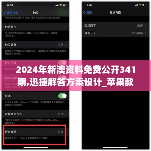 2024年新澳资料免费公开341期,迅捷解答方案设计_苹果款5.187